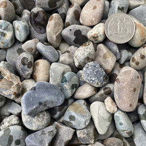 Bulk Round Stone (Drain Rock) 3/4 in.