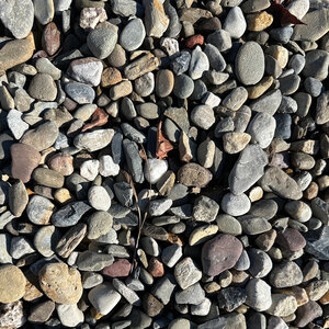 Bulk River Rock Pennsylvania Blend 3/4 in.