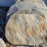 Stepping Stone Rustic Sunset Round 16 in.