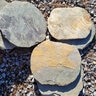 Stepping Stone Rustic Sunset Round 16 in.
