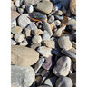 Palletized River Rock Pennsylvania Blend 1 - 3 in.