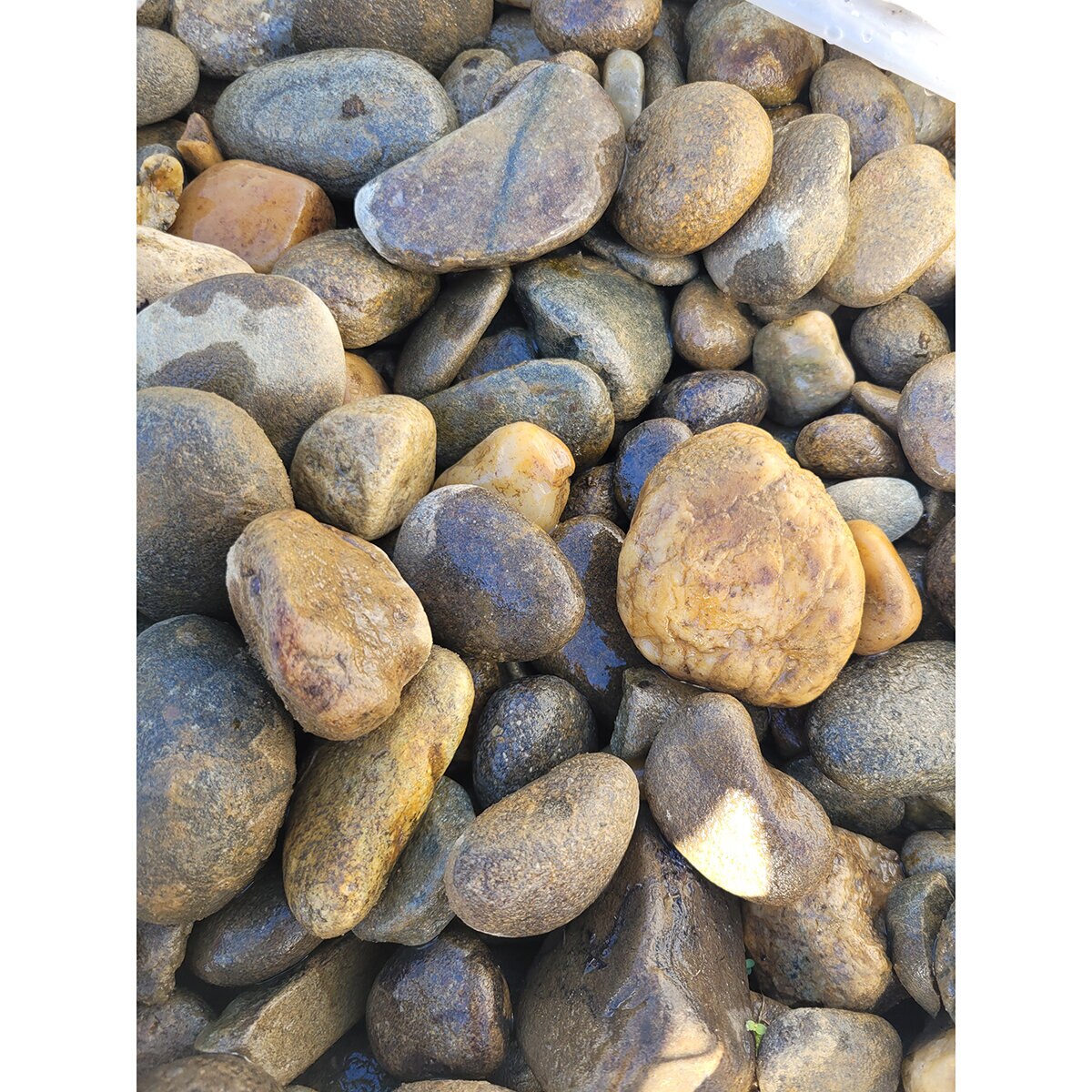 Palletized River Rock Tennessee Rounds Small 3/4 - 1-1/2 in | SiteOne US