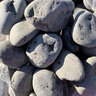 Bagged Mexican Beach Pebbles Black 2 - 3 in. (50 lb. Bag) 