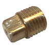 Pump Plug 1/4 in.