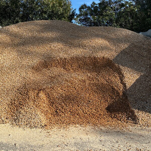 Bulk Sonoma Gold 3/8 in. 