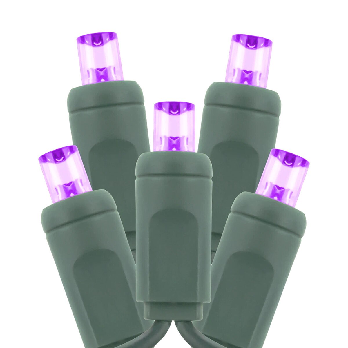 STD LED 5MM,70 LED,4X4X4,120V,4.8W,RECTIFIED,PURPLE | SiteOne US