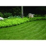 Permaloc ProSlide Aluminum Landscape Edging Bronze Duraflex 3/16 in. x 4 in. x 8 ft.