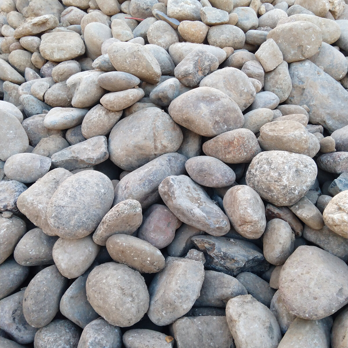 Bulk New Mexico River Rock Large | SiteOne US
