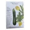 Squash Summer Vegetable Seed Black Beauty 4 gm