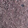Bulk Cactus Berry 3/8 in. Minus