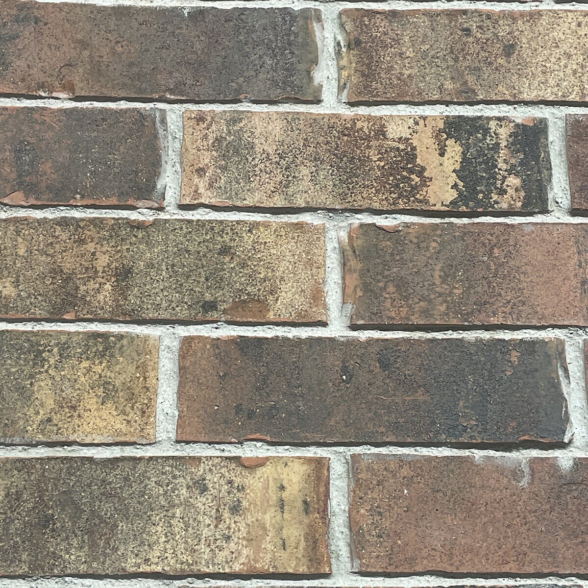 Sunset Brick Thin Brick Rusty Flats (11.36 sq. ft./box)(54 pc./box ...