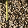 Bulk River Rock Local (Colorado) 3/4 in. 