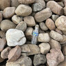 Bulk River Rock Horizon 5 - 12 in.