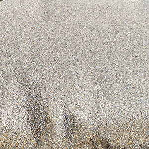 Bulk Carolina White Rock 1/2 in.