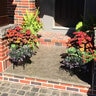 Step Fossil Spire Limestone Full Color Bushhammered Top Rockfaced Front 6 in. x 18 in. x 48 in.