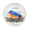 Decorative Crack Glass Globe Bluebird w/LED 6 in.
