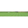 Piranha Creeping Bentgrass Seed (Cert) 25 lb.