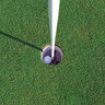 Oakley Creeping Bentgrass Seed 25 lb.