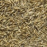 Central Sod Dura Seed Blend 50 lb.