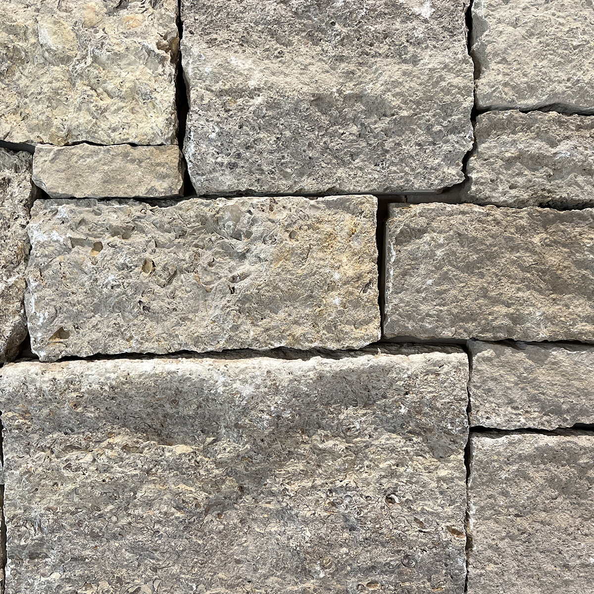 Sawn Thin Veneer Seabed Limestone Square and Rectangle Flats (160 sq ...