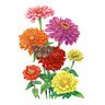 Zinnia Wildflower Seed California Giants 1.5 gm