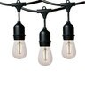 Dauer Suspended String Light 50 ft. with 25 Warm White E26 Sockets, 10 Amps, 120V, Black and Clear Brass Finish, 2700K Color Temperature, 14 AWG Wire