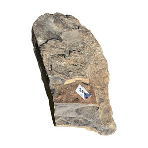 Slab Cold Water Canyon