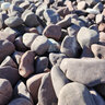 Palletized Purple Pebbles 2 1/2 - 4 in. 