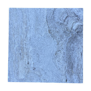 Dimensional Silver River Travertine Tumbled 1 3/16 in. x 24 in. x 24 in.