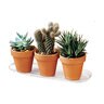 Pot PlantPak Plastec Saucer Oval Clear 4 in. x 14 in.