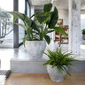 Pot Claire XS Imperial White 15.7 in. x 12.9 in.