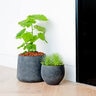 Pot Mini Orb XL Black Washed 15-1-4 in. x 14 in.
