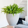Pot Jesslyn S Vertical Ridges Light Gray 20 in. x 17 in.