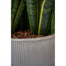 Pot Pax L Vertical Ridges Dark Gray 16 in. x 14 in.