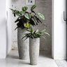 Pot Dax M Imperial White 9-1/2 in. x 23-1/2 in.