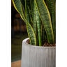 Pot Pax L Vertical Ridges Dark Gray 21-1/2 in. x 19 in.