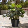 Pot Bucket XS Black 15-3/4 in. x 13-3/4 in.