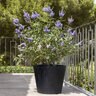 Pot Bucket XS Black 15-3/4 in. x 13-3/4 in.