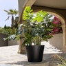 Pot Bucket XS Black 15-3/4 in. x 13-3/4 in.