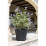 Pot Bucket M Black 22.83 in. x 19.69 in.