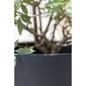 Pot Bucket M Black 22.83 in. x 19.69 in.