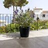 Pot Bucket M Black 22.83 in. x 19.69 in.