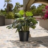 Pot Bucket M Black 22.83 in. x 19.69 in.
