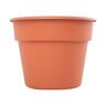 Pot Dura Cotta Terra Cotta 10 in.