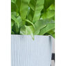 Pot Ben L Vertical Ridges Light Gray 15-3/4 in. x 21-1/2 in.