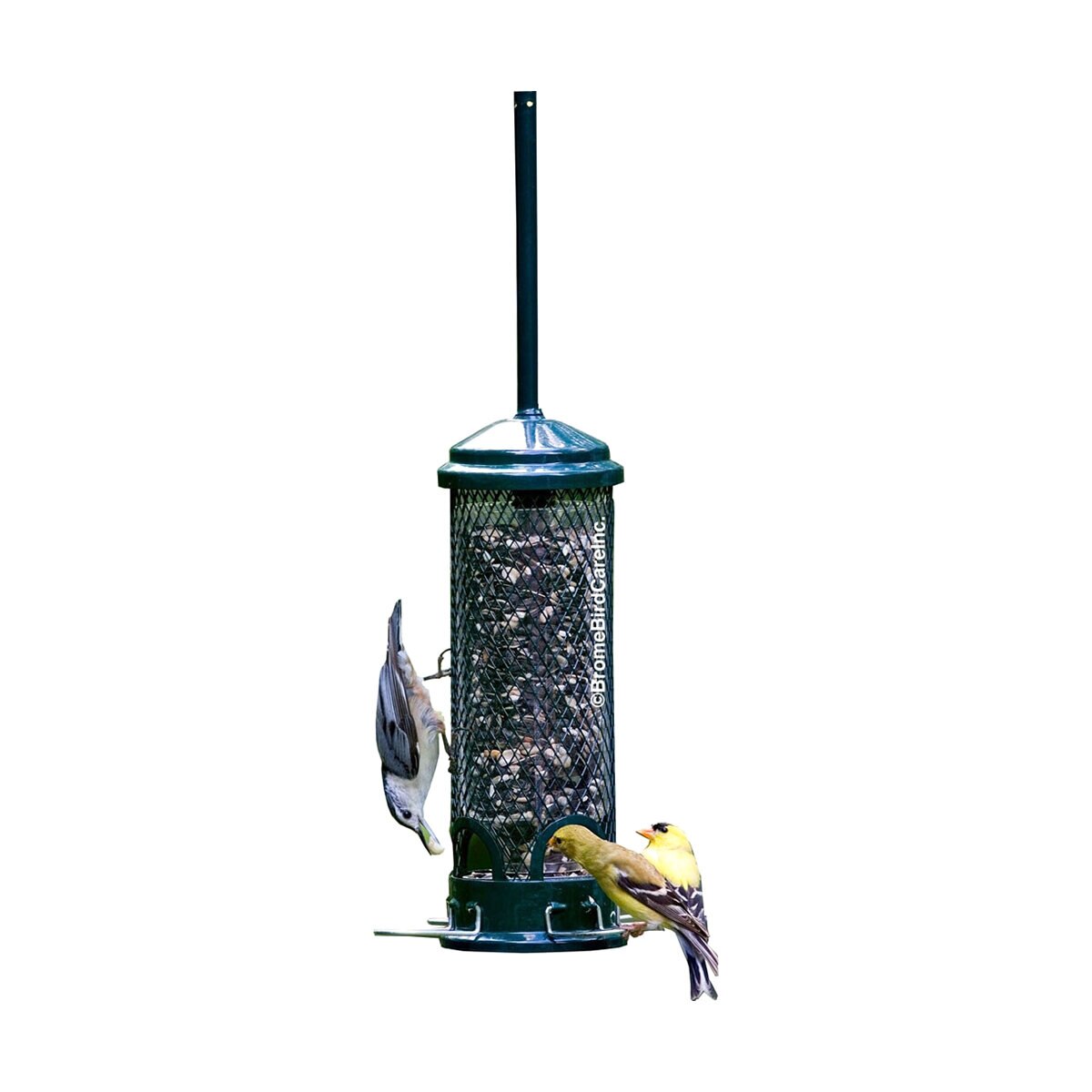 Bird Feeder Squirrel Buster Mini | SiteOne US
