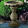 Birdbath Pineapple English Moss 17 in. x 20 in.