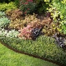 Colmet Steel Landscape Edging with Attached Stakes Brown 14 Gauge 1/16 in. x 4 in. x 2 ft.