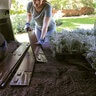 Colmet Steel Landscape Edging with Attached Stakes Brown 14 Gauge 1/16 in. x 4 in. x 2 ft.
