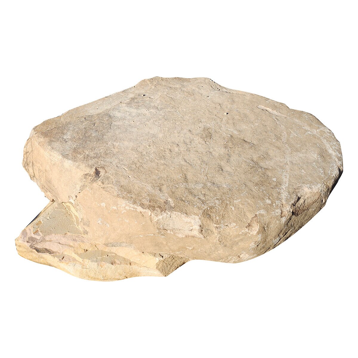 Coyote Creek Fieldstone Small Steppers | SiteOne US